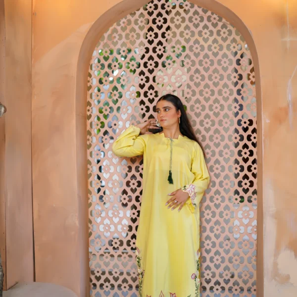 2 Piece Lawn Suit - Embroidered (Stitched)