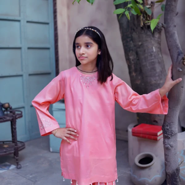 2 Piece Embroidered Kids Lawn Suit