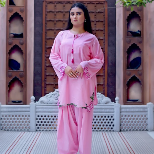 2 Piece Lawn Suit - Embroidered (Stitched)