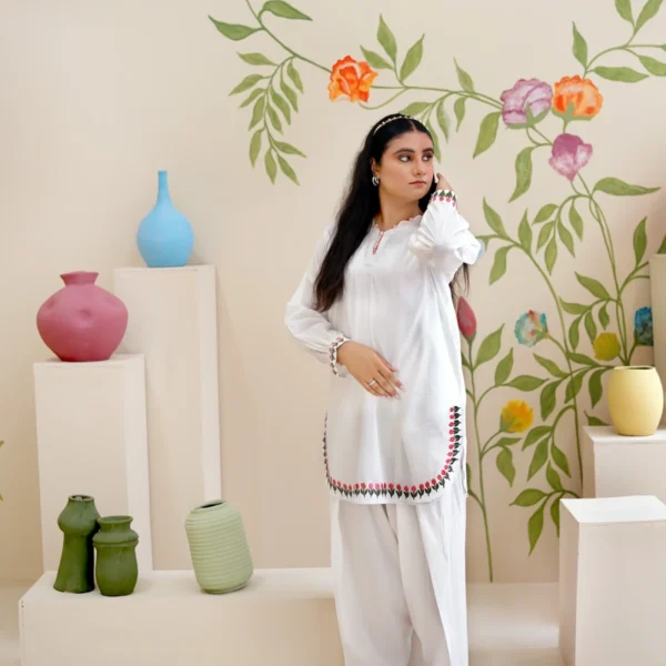 2 Piece Lawn Suit - Embroidered (Stitched)
