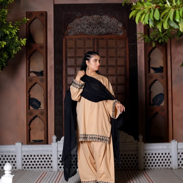 2 Piece Lawn Suit - Embroidered (Stitched)